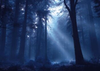 10 tiny night rituals for instant calm